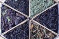 Assorted natural herbal teas from currant ivan tea and others close up Royalty Free Stock Photo