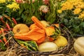 Assorted of natural ripe pumpkins in basket among flowers. Symbol of harvest, Thanksgiving, Halloween. Autumn background Royalty Free Stock Photo