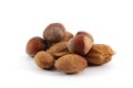 Assorted nuts Royalty Free Stock Photo