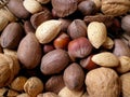 Assorted Nuts Royalty Free Stock Photo