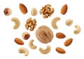 Assorted nuts arranged in a circular pattern around a central walnut on white background Royalty Free Stock Photo