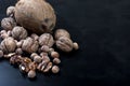 Assorted nuts on a black background Royalty Free Stock Photo