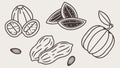 Assorted Nuts and Seeds Vector Graphics, vector design Generative AI Royalty Free Stock Photo