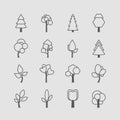 Assorted Outlined Tree Icon Set