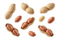 Assorted peanuts displayed against a clean white background with shells and kernels visible Royalty Free Stock Photo