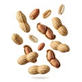 Assorted peanuts and legumes floating against a white background Royalty Free Stock Photo
