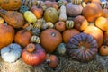 Assorted pile of colorful pumpkins and gourds. Royalty Free Stock Photo