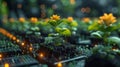 Assorted Plants Arranged on Table Royalty Free Stock Photo