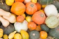 Assorted pumpkins Royalty Free Stock Photo