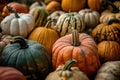 Assorted pumpkins and gourds at a fall harvest festival