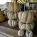 Assorted pumpkins at roadside produce stand Royalty Free Stock Photo