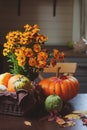 Assorted pumpkins and squash picked up in basket at country house with seasonal flowers Royalty Free Stock Photo