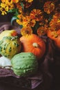 Assorted pumpkins and squash picked up in basket at country house with seasonal flowers Royalty Free Stock Photo