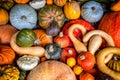 Assorted pumpkins, squashes and gourds