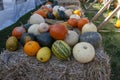 Assorted pumpkins, squashes, and gourds stacked on hay.