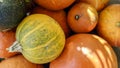 Pumpkins and Squash at Farmers Market for Sale in Autumn Fall Season Royalty Free Stock Photo