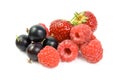 Assorted raspberry strawberry black currant. Royalty Free Stock Photo