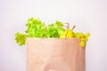 Assorted raw organic green vegetables and friuts in the paper bag Royalty Free Stock Photo