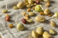 Assorted Raw Sprouted Beans Legumes Royalty Free Stock Photo