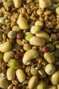 Assorted Raw Sprouted Beans Legumes Royalty Free Stock Photo