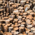 Assorted raw timber logs background full frame Royalty Free Stock Photo