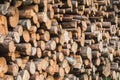 Assorted raw timber logs background full frame Royalty Free Stock Photo