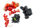 Assorted ripe forest berries on white
