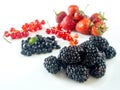 Assorted ripe forest berries on white