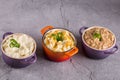 Assorted risottos on gray background. Cheese risotto, mushroom risotto and saffron risotto. Risotto festival Royalty Free Stock Photo