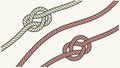 Assorted Rope Knots, Nautical and Decorative Elements, vector design Generative AI Royalty Free Stock Photo