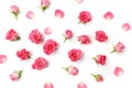 Assorted roses heads on white background. Overhead view. Flat lay Royalty Free Stock Photo