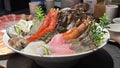 Assorted seafood platter set served on big white plate dish with lobster, different types of shrimp, oysters, fish, clam, squid Royalty Free Stock Photo