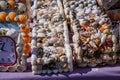 Assorted Seashell Souvenirs on Display Royalty Free Stock Photo