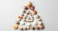 Assorted seashells arranged in a triangular Royalty Free Stock Photo