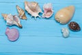 Assorted seashells on blue wooden background, flat lay, copyspace