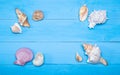 Assorted seashells on blue wooden background, flat lay, copyspace