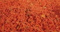 Assorted seasonings in a pile. Background of red paprika powder. Close up of red paprika in a spice shop, texture. Royalty Free Stock Photo