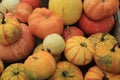 Assorted Shapes, Sizes PUMPKINS.. New England Fall