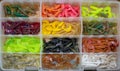 Assorted silicone colorful baits in plastic box for fishing Royalty Free Stock Photo