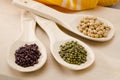 Assorted soy beans Royalty Free Stock Photo