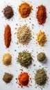 Assorted spices and herbs arrangement on white background Royalty Free Stock Photo