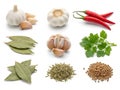 Assorted spices and herbs isolated on white background Royalty Free Stock Photo