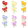 Assorted Spring Tulips With Bows Royalty Free Stock Photo