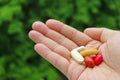 Assorted Supplement Pills in Man`s Palm with Blurry Green Foliage in Background Royalty Free Stock Photo