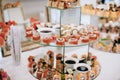 Assorted sushi on trays on table in restaurant. Japanese cuisine Royalty Free Stock Photo