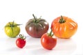 Assorted tomatoes heirloom isolated on white Royalty Free Stock Photo