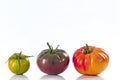 Assorted tomatoes heirloom isolated on white Royalty Free Stock Photo