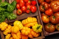 Assorted tomatoes in rustic crate