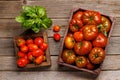 Assorted tomatoes in rustic crate