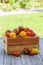 Assorted tomatoes in rustic crate